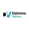 Dalmine Valves