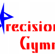 precision-gym.com