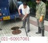 上海閔行區管道清洗50917081》+《上海浦東區管道疏通公司》