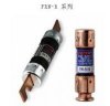 Bussmann熔斷器.FRN-R-10, FRN-R-15, FRN-R-20,FRN-R-30, FRN-R-40, FRN-R-25價(jià)優(yōu)現(xiàn)貨