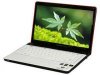 全新正品各種品牌筆記本電腦3折批發 (歡迎訂購)