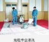 閔行區地毯清洗-修鋪地毯-消毒殺蟲-電話58334446椅子沙發清洗