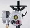 英國羅托克ROTORK執(zhí)行器