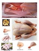 poultry