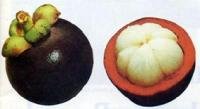 fruit