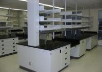 實(shí)驗(yàn)臺(tái) 廣州實(shí)驗(yàn)臺(tái) 實(shí)驗(yàn)室裝修