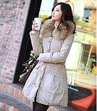 溫暖 陽光 帥氣